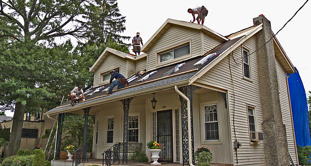 Best Roof Maintenance Services  in Brookside, NJ